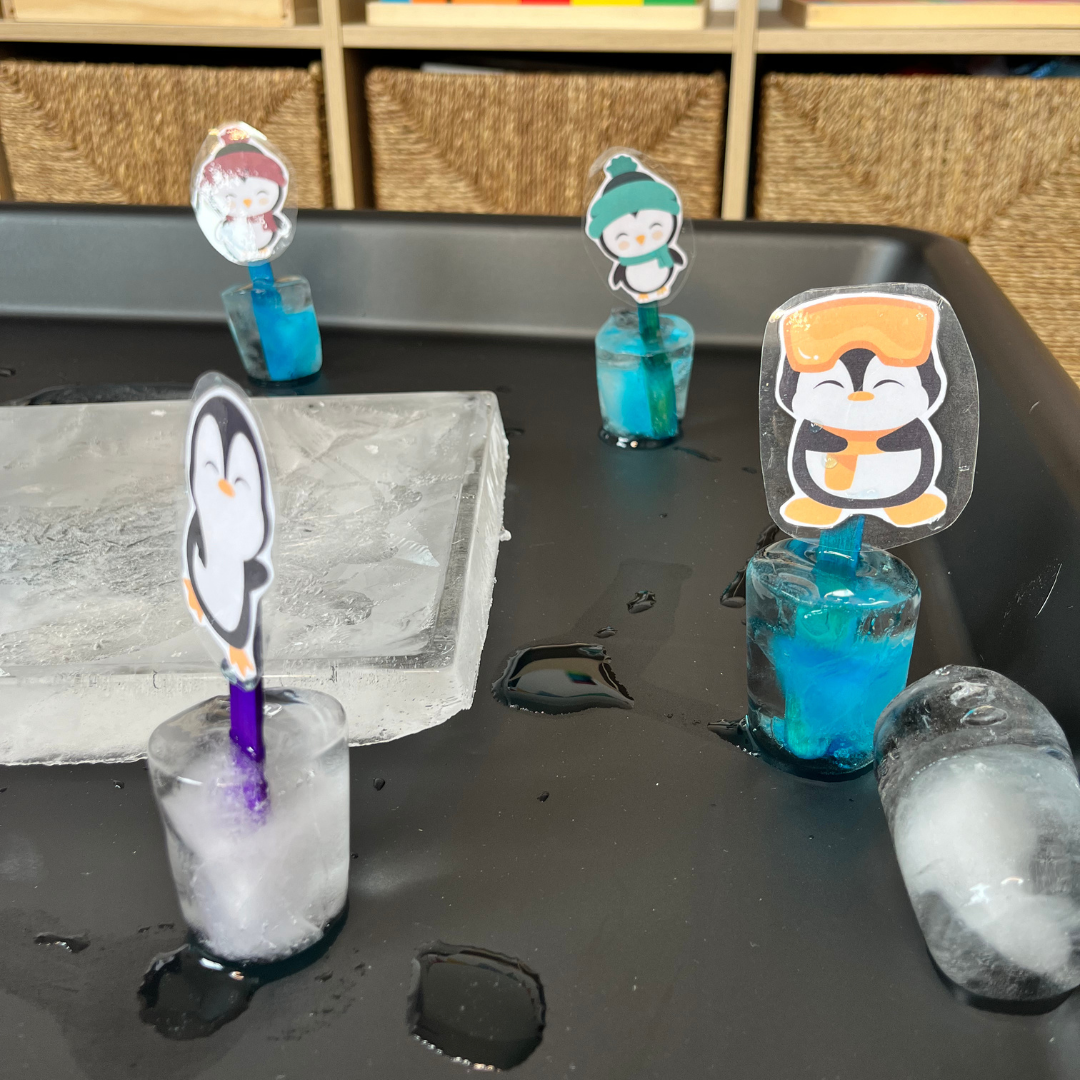 Propuesta de pingüinos patinadores con bandeja sensorial con hielos